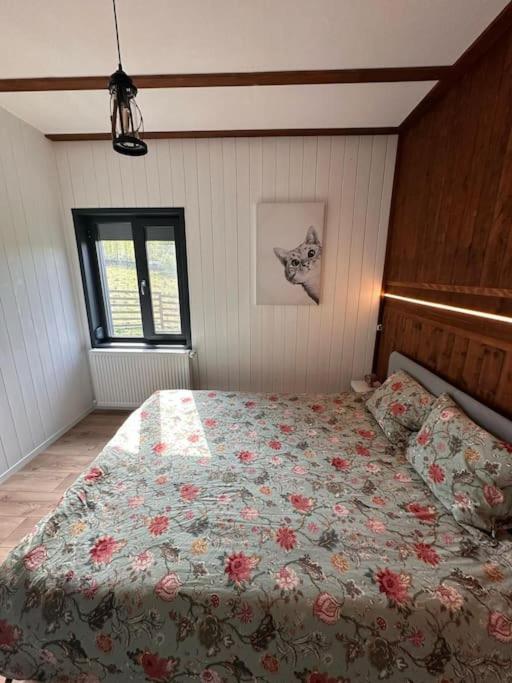Alpine Chalet Predelut Zewnętrze zdjęcie